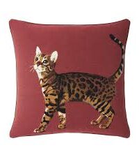 Iosis  Achetez Bengal